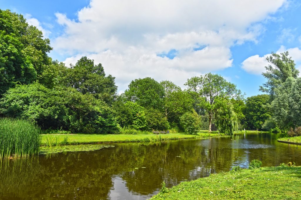 beste parken van Nederland