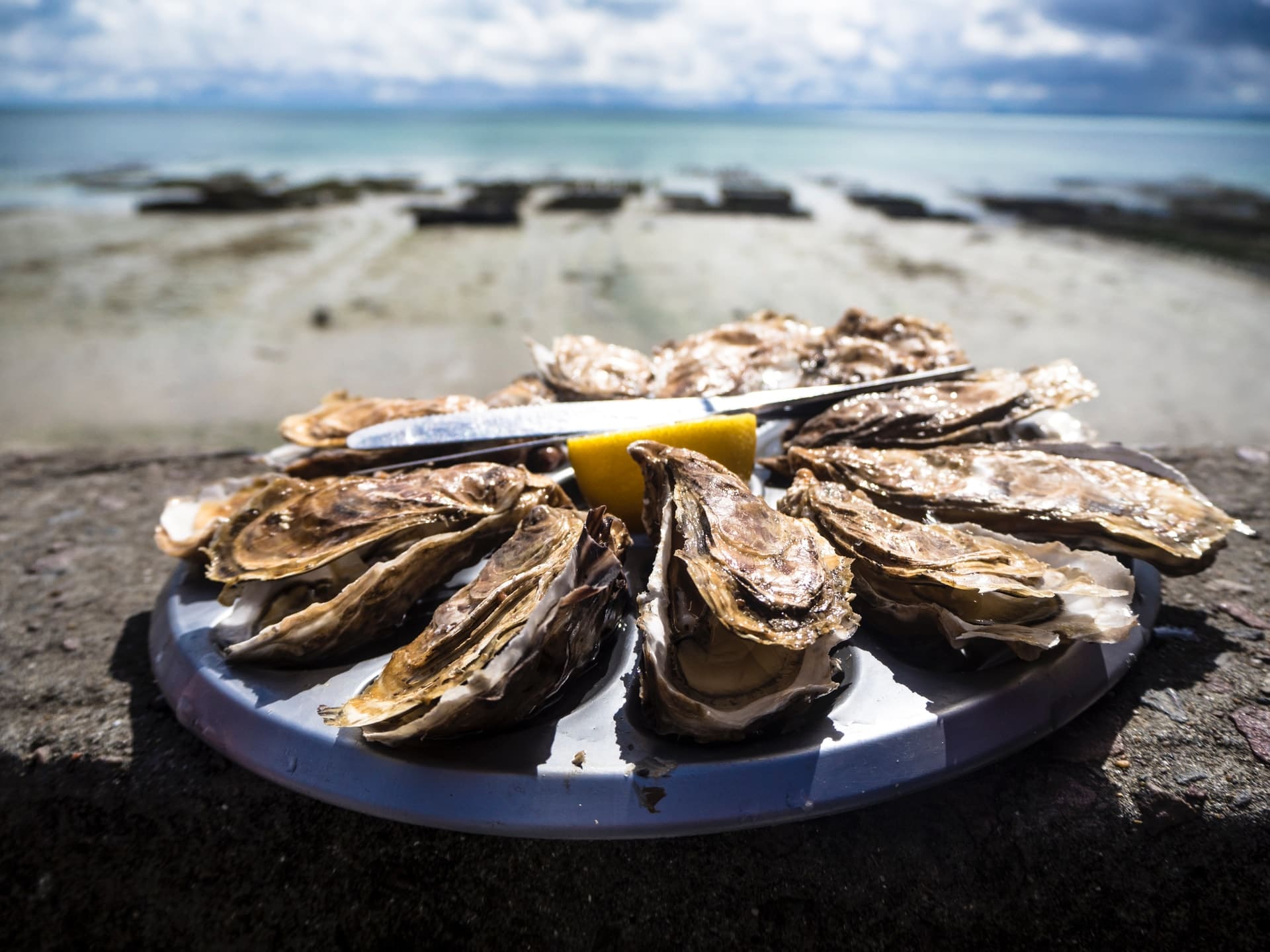 5 restaurants aan het water met oesters