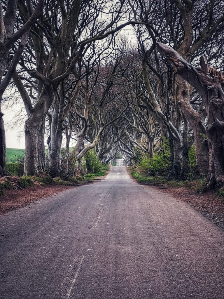 Game of Thrones noord-ierland dark hedges