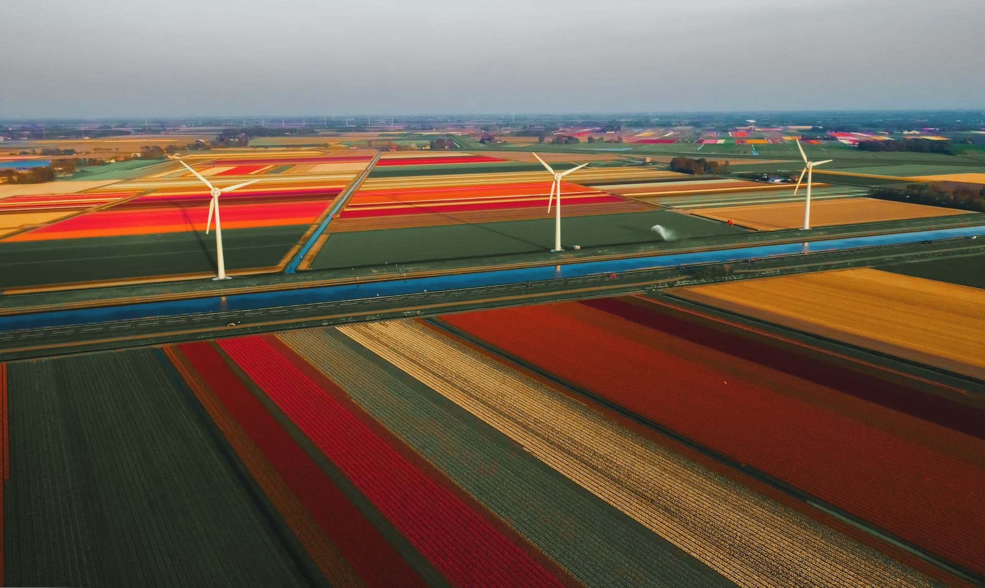 Toeristische topbestemmingen in Nederland - tulpenvelden