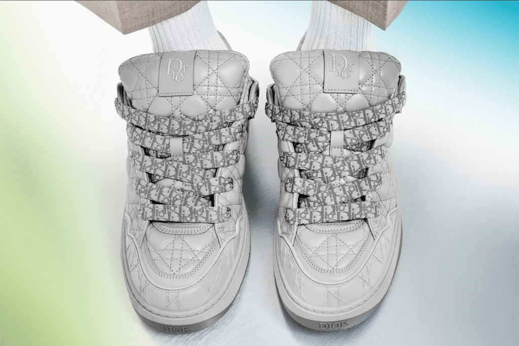 Dior B9S Limited Edition Sneakers