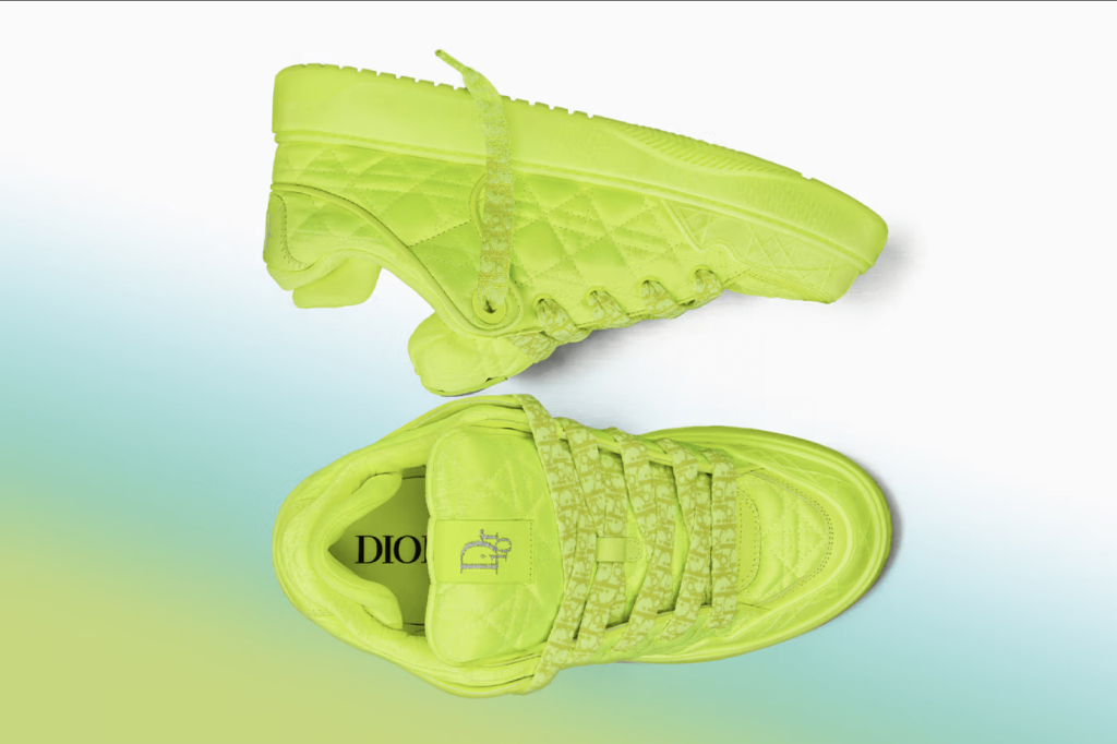Dior B9S Limited Edition Sneakers