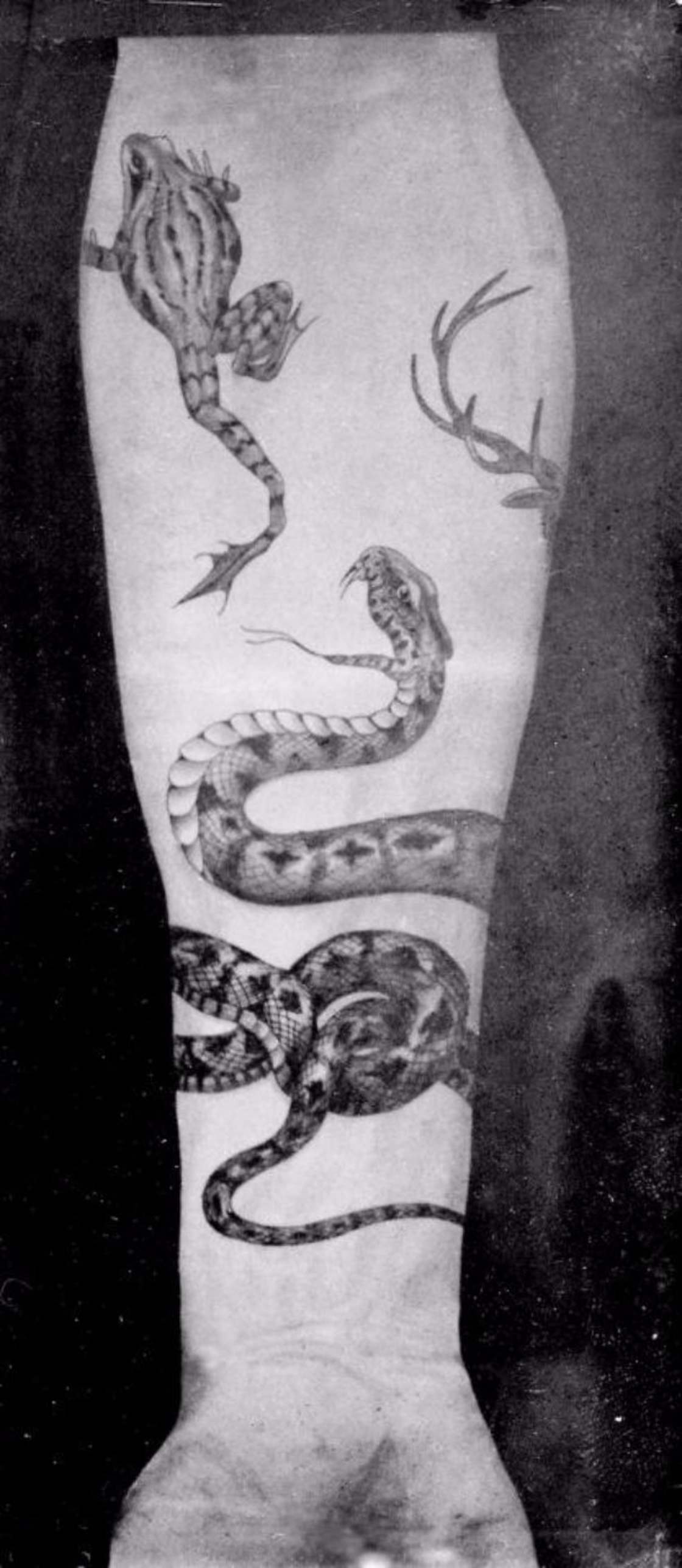tattoos Sutherland Macdonald - tattoo artist geschiedenis