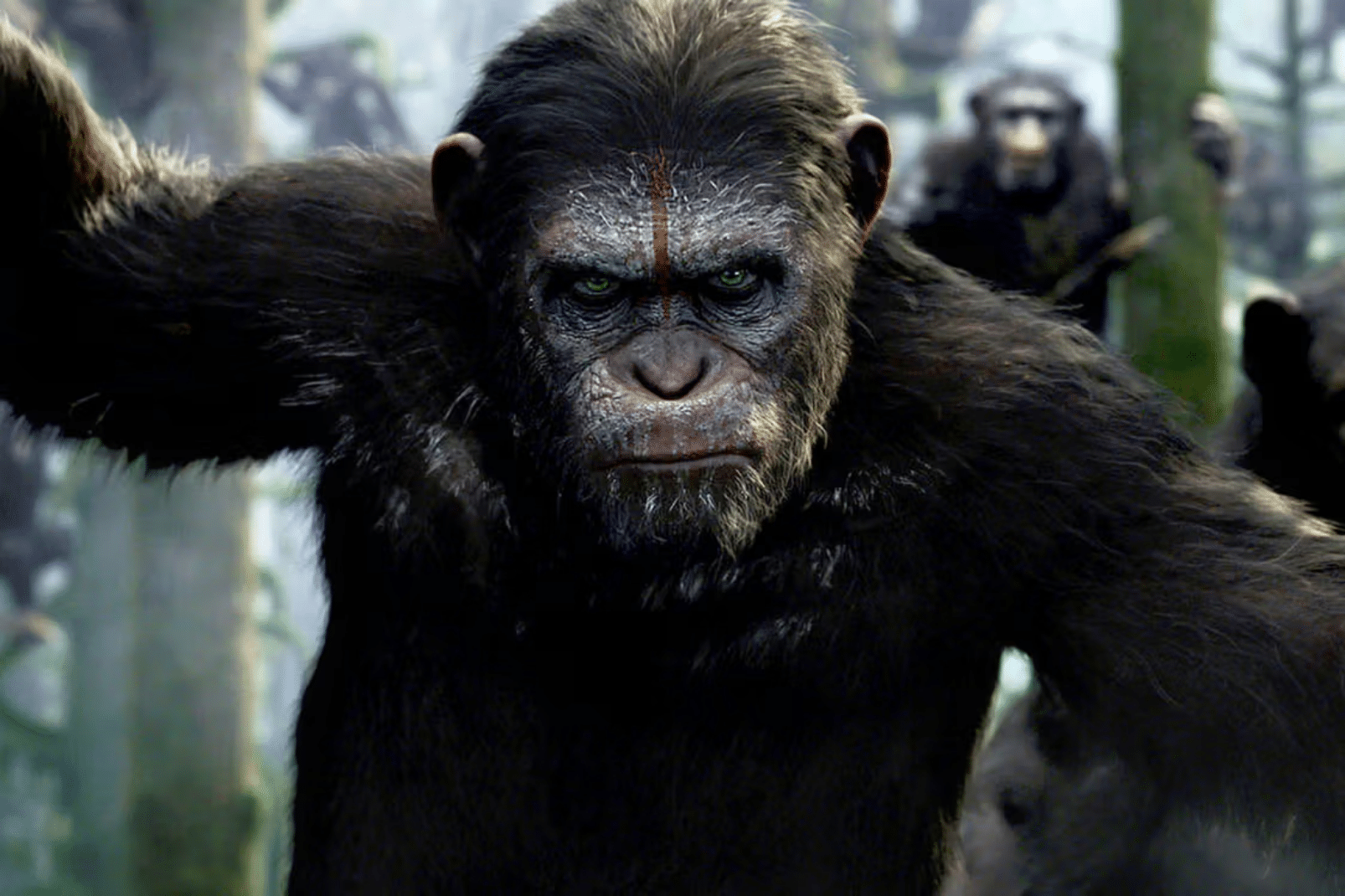 kingdom of the planet of the apes trailer