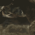 Kong: Skull Island bioscoop trailer