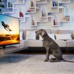 Philips TV collectie 2017 high-end kopen
