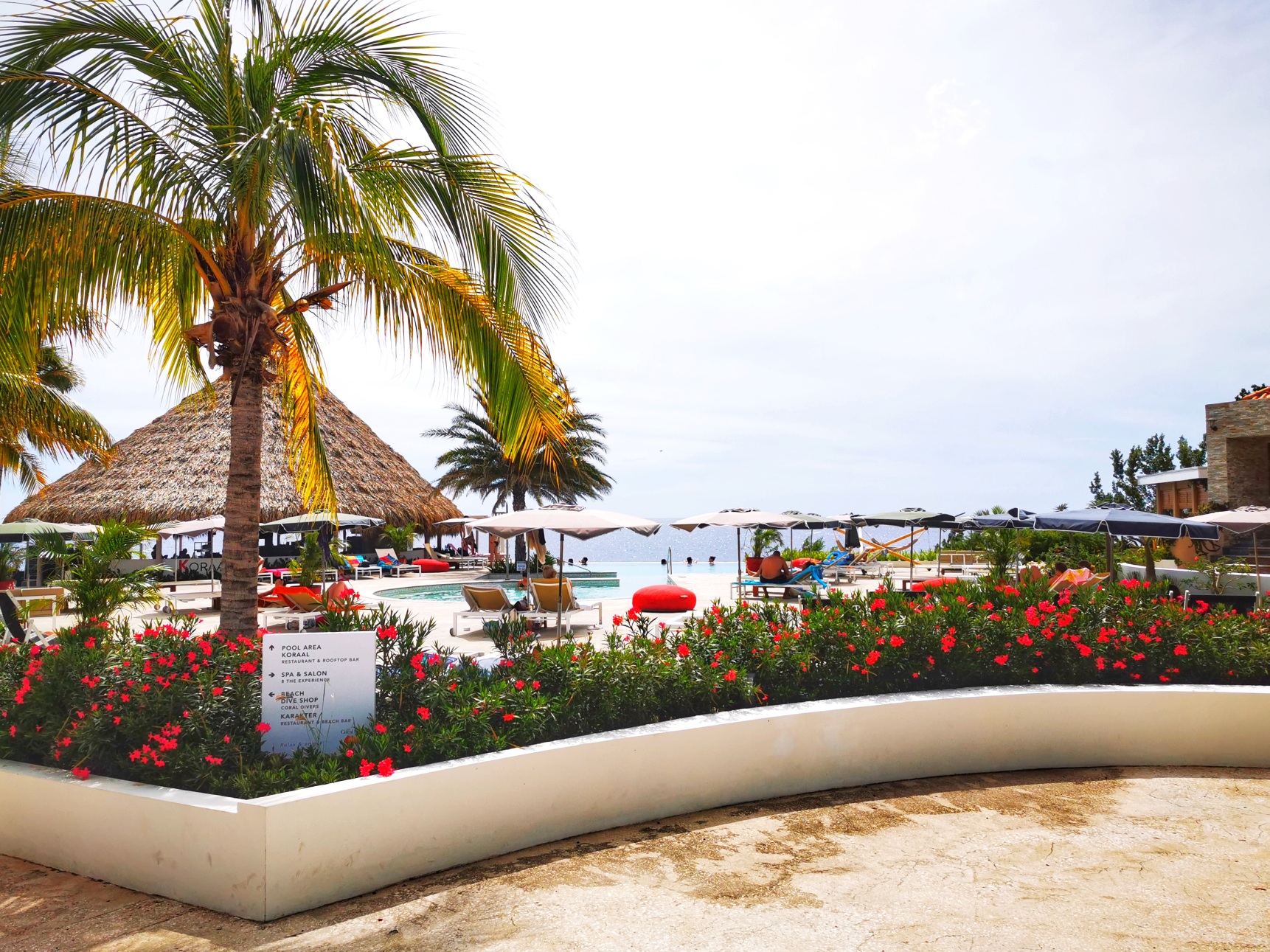 restaurant Koraal Curaçao - Lunchen rooftop bar & infinity pool recensie