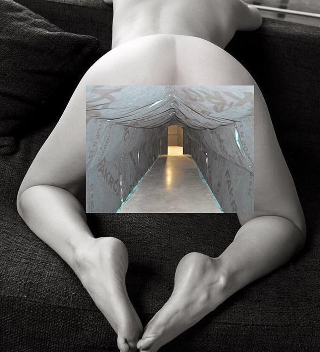 Scientwehst sex architectuur kunst