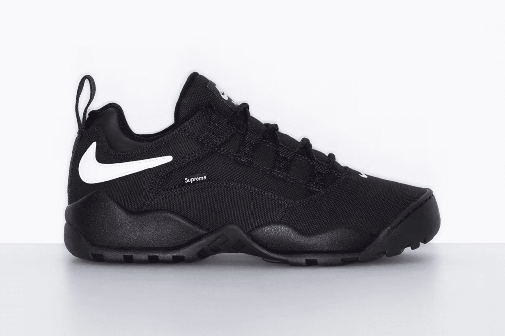 Supreme x Nike SB Darwin Low sneakers