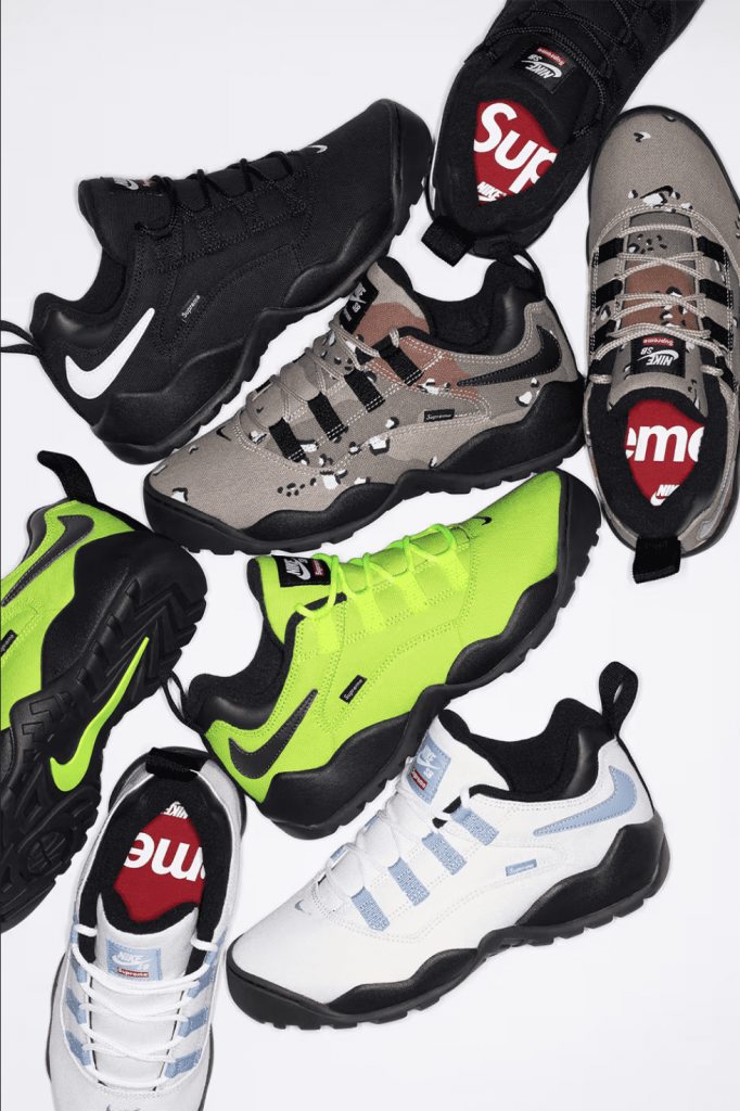 Supreme x Nike SB Darwin Low sneakers
