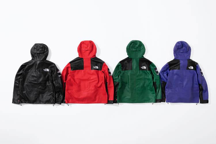 Supreme x The North Face Fall 2018 Leather Collection