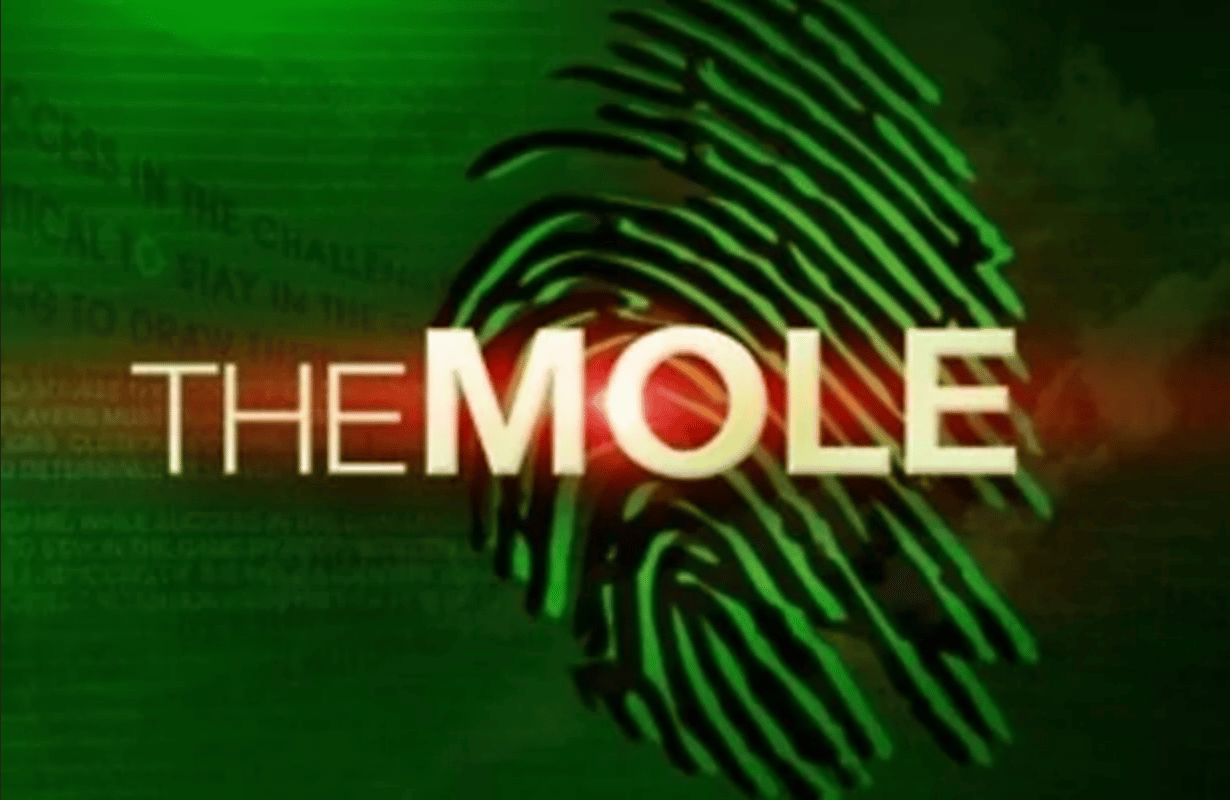 wie is de mol? netflix the mole